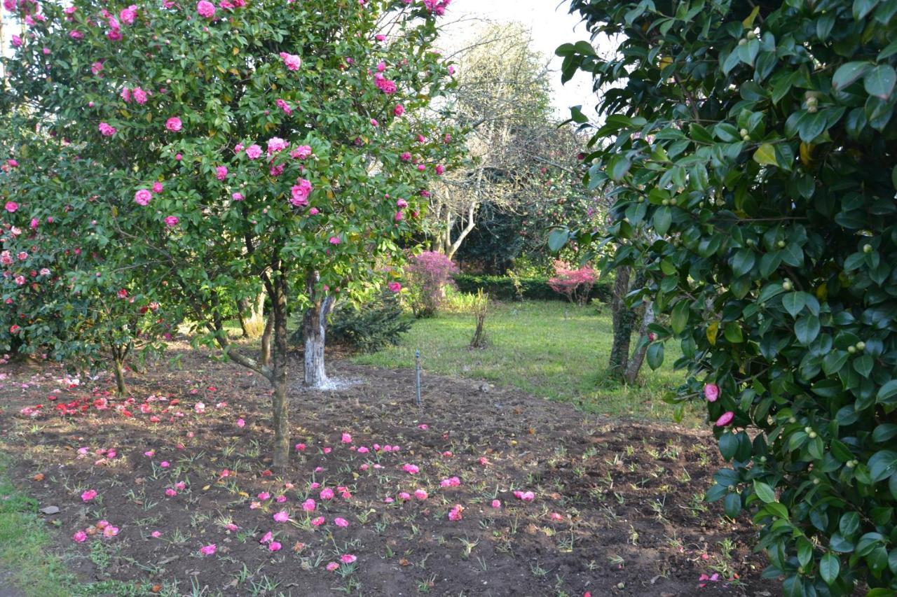 Bed and Breakfast Quinta D'Avo Amelia Alquerubim Экстерьер фото